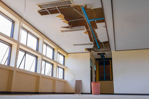 Best Flood restoration services  in Green Level, NC