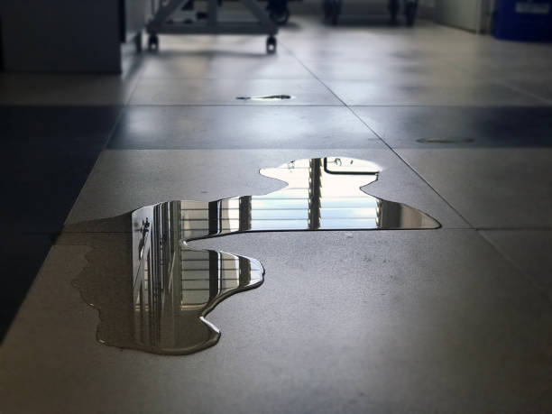 Best Professional water damage repair  in Green Level, NC