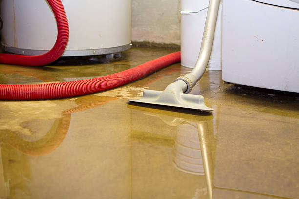 Best Water damage restoration services  in Green Level, NC